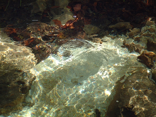 La luce gioca con l''acqua